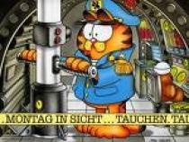 XLIFLIDVMZHLTQCKYJE - garfield