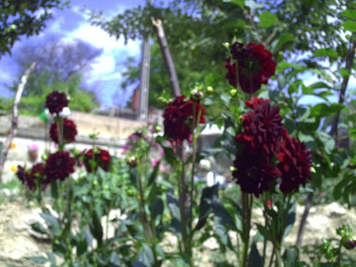 PICT0064