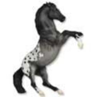 cal appaloosa cabrat - Breyer horses