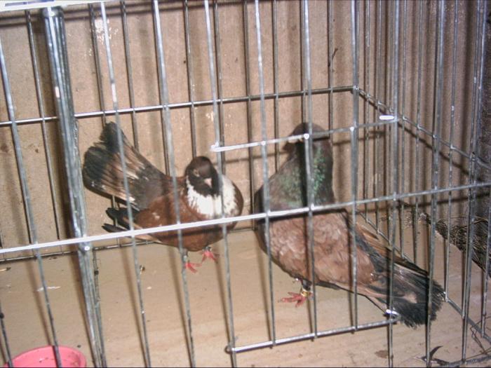 PICT0025