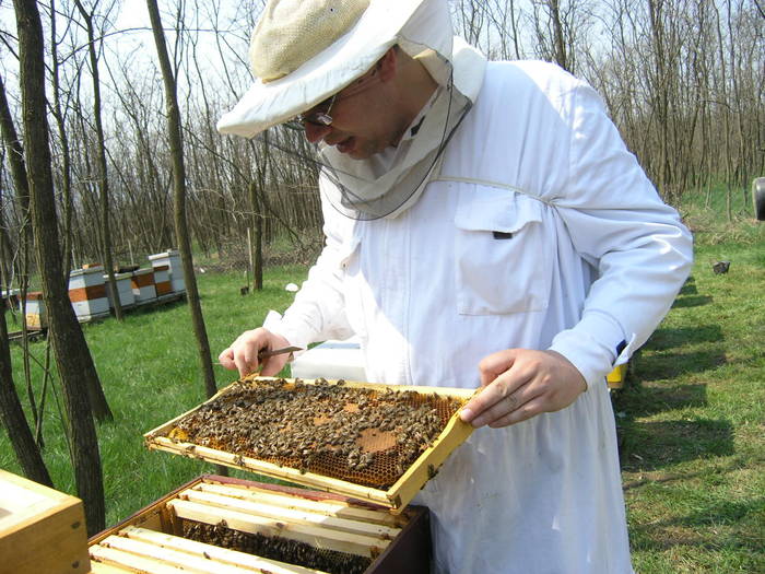 P4071955 - Carnica Banatica