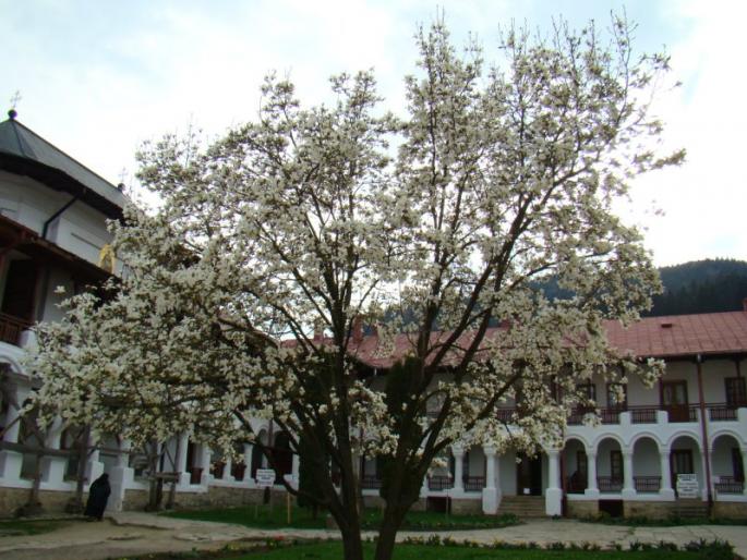 DSC03270 - 14 aprilie - Manastiri-Targu Neamt-Humulesti