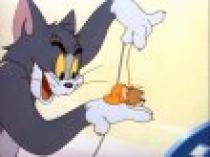 cgbgfh - Tom si Jerry