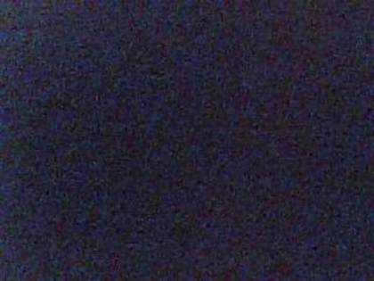 Picture 1256 - daalina