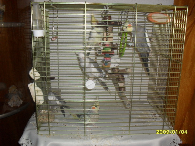 SDC12041