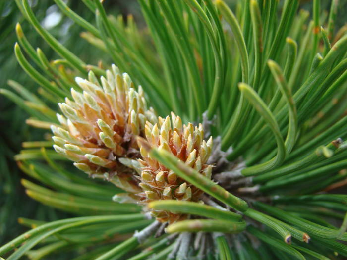 DSC03792 - Concediu 2009