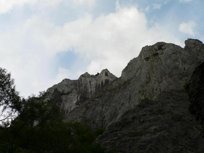 P100083