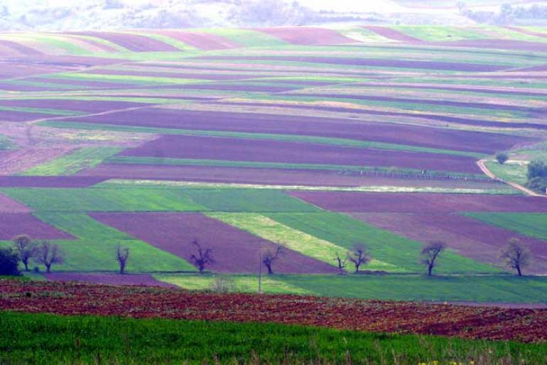 Cimpuri din Clisura Dunarii, Judetul Caras - Severin - 2004 ROMANIA