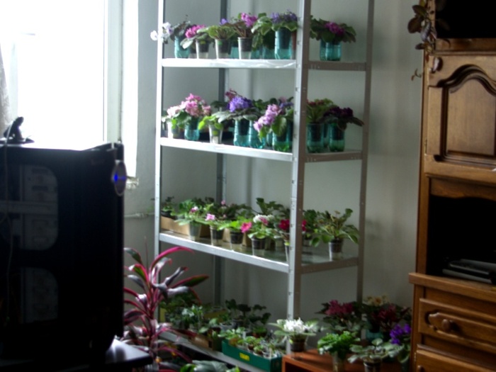 SG105851 - 2013 - Rafturi-Grup