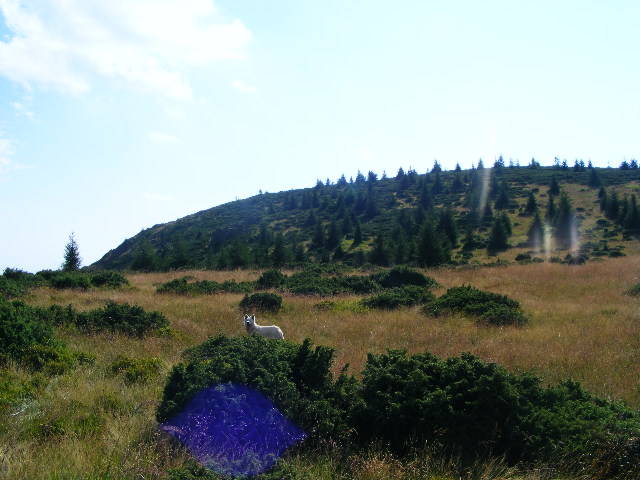 DSCF4461