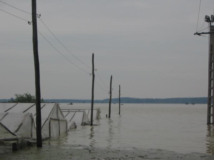inundatii (59)