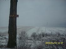 BXOVIILCVUOIYIVCDTV - peisaje de iarna