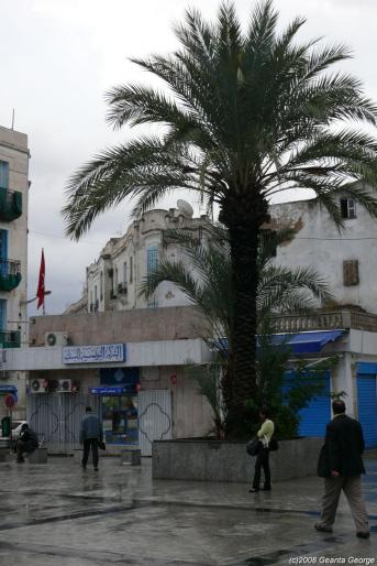Tunisia_573