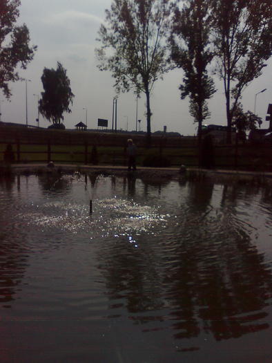 Imagine1565 - ApiMondia