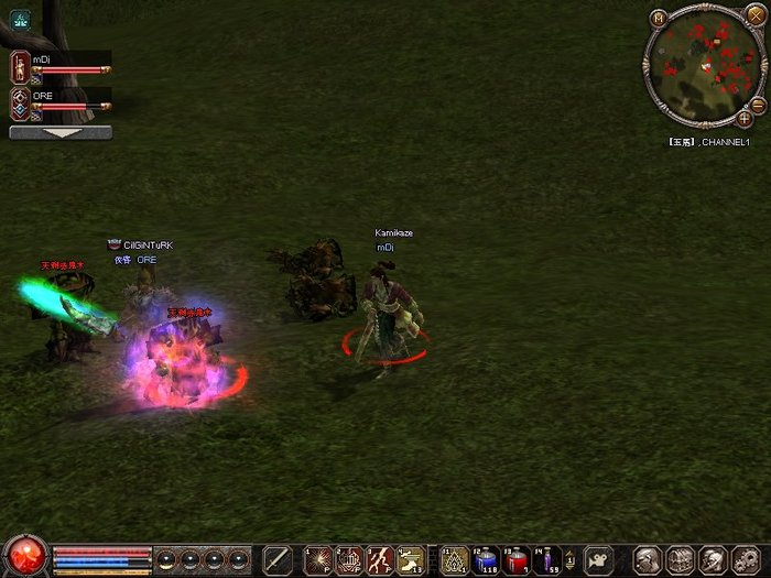 1215_213422 - metin 35 pserver poze noi