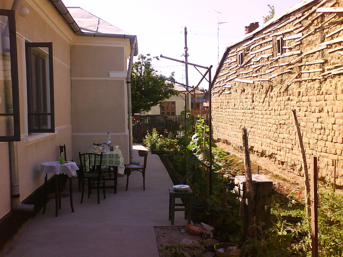 DSC05445