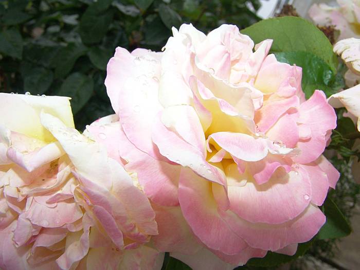 DSC01840
