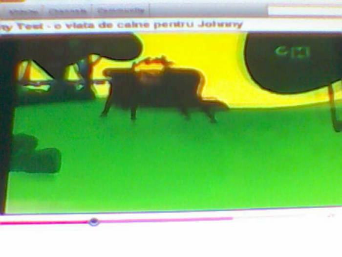 snapshot-3121 - Video Hsm Vedete