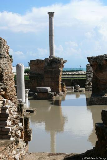 Tunisia_698 - Tunisia