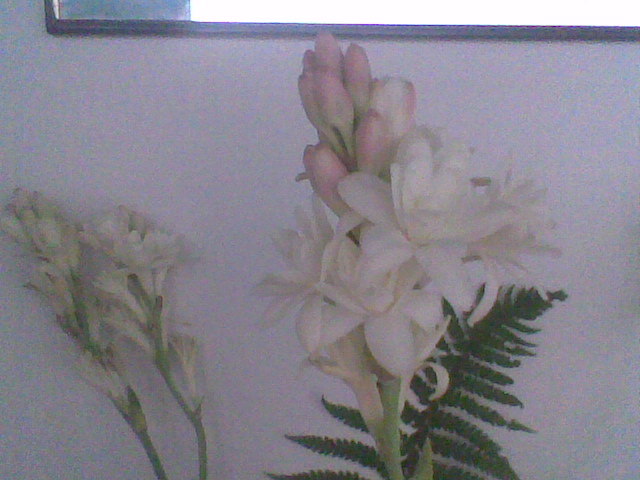 Imag051