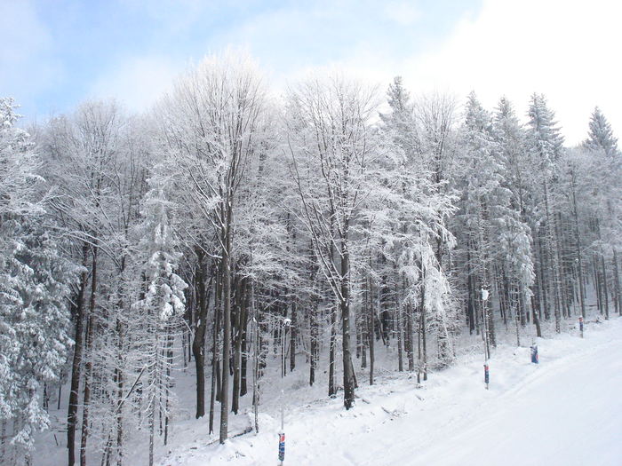 Peisaj hibernal Suior - Suior- Mogosa -Maramures