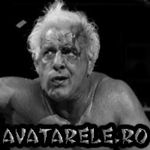 47 - avatare cu wrestling