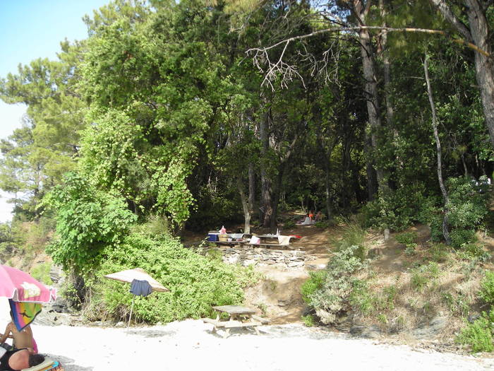 Picture Nokia 368 - 2007 TURCIA KUSADASI