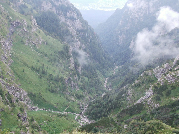 2009_08190573; Romania
