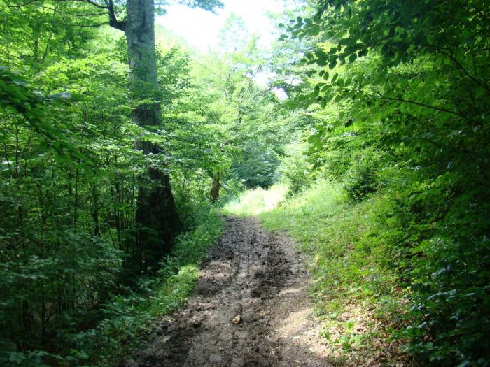 DSC02100 - Concediu 2008