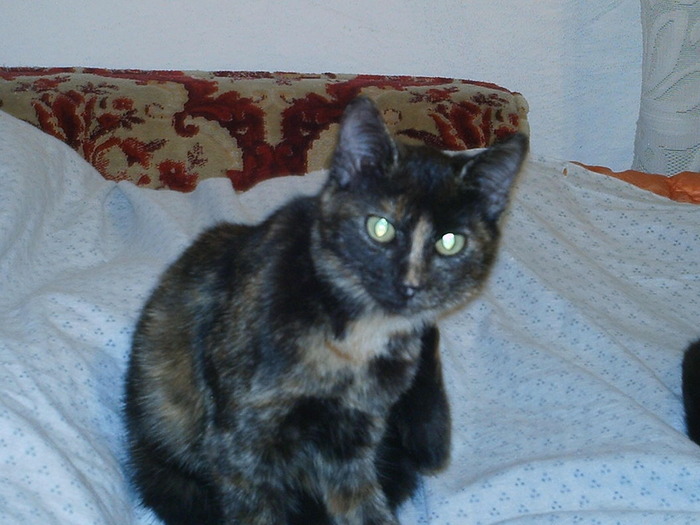 IMAG0021