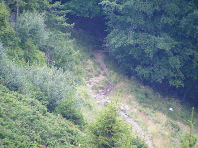 DSCF4454 - 2 august 2009 Traseu Suior Secatura Creasta Cocosului Gutaiul Doamnei  Vf Gutai