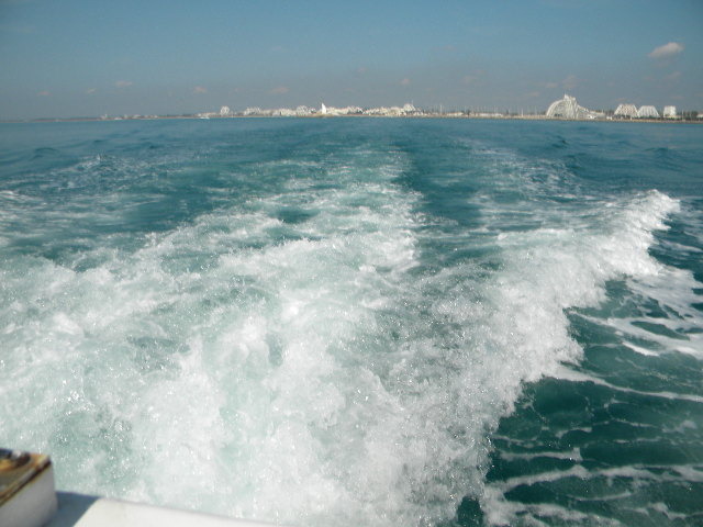 DSCN1098