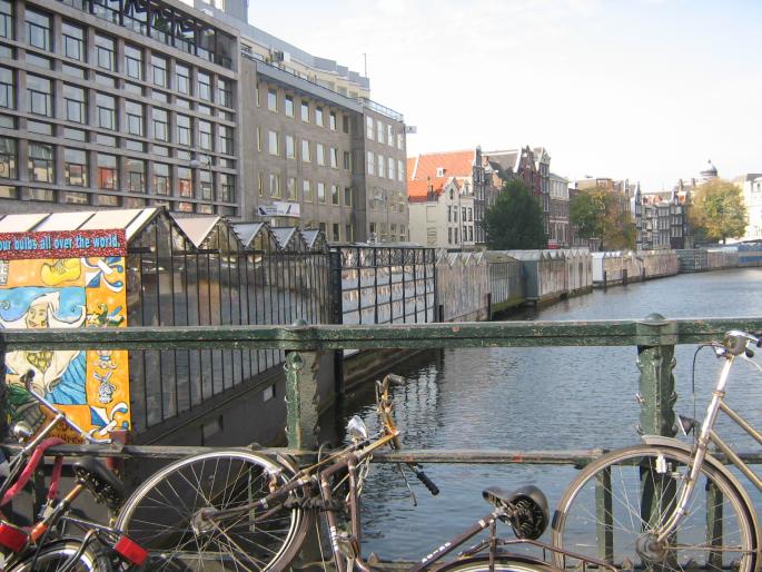 Piata de flori - Amsterdam 2007 si 2008