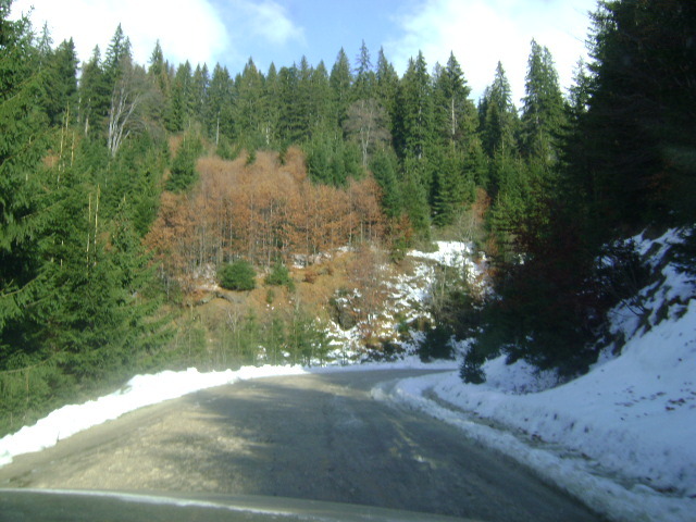 DSC07765 - UN DRUM LA CABANA BOLBOCI