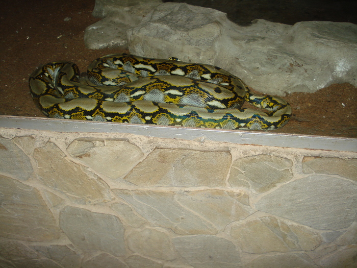 Picture 026