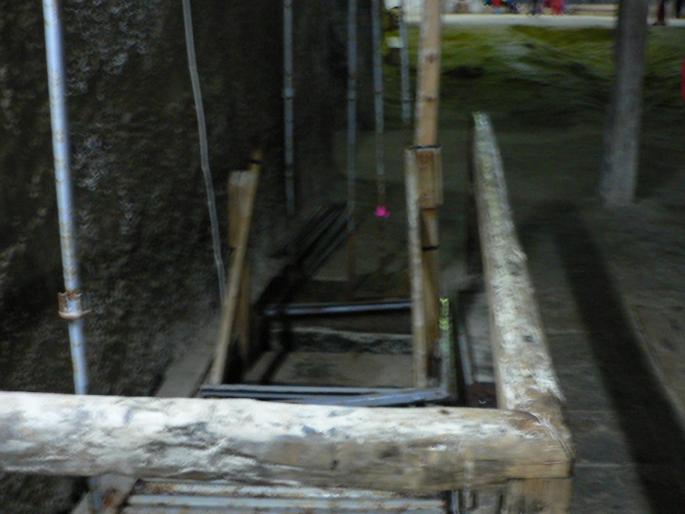 P101006