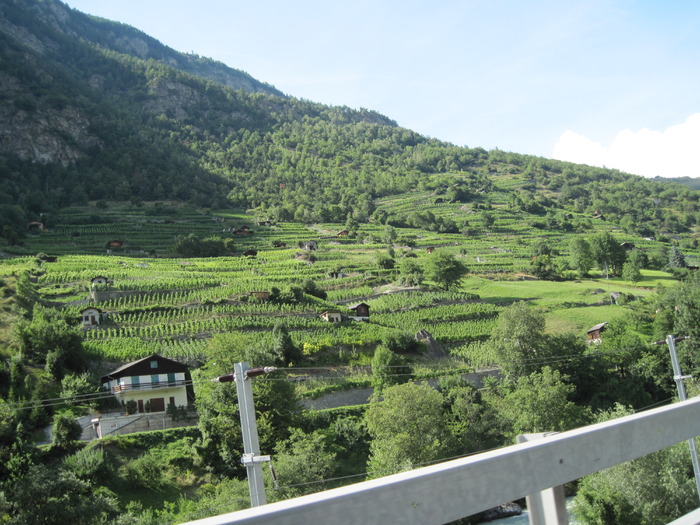 IMG_1250 - Pe valea RHONULU-de la izvoare