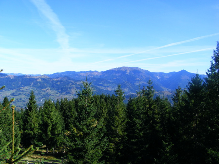 DSCF6442 - muntii Rodnei