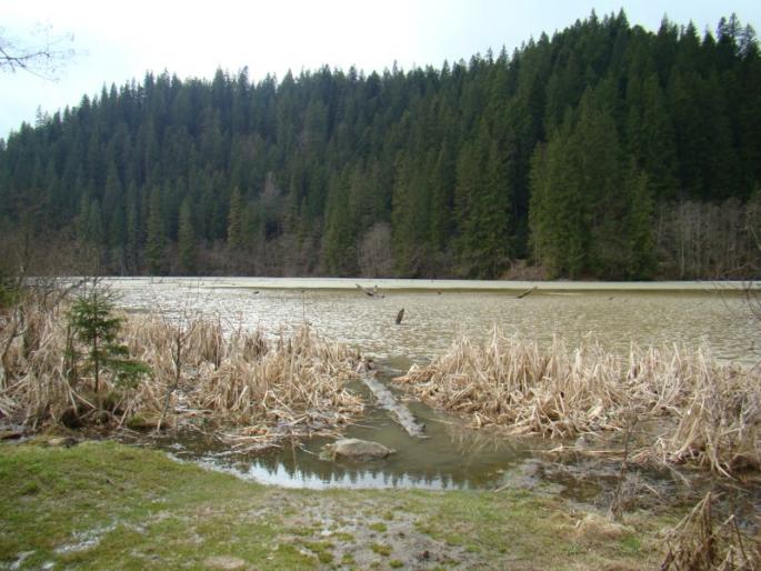lacul Rosu