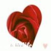 81827_teiubesc - love