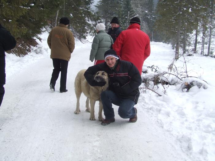 DSCF4565 - poiana zinelor