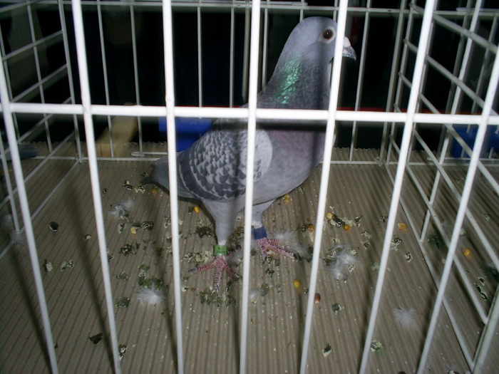 S4021447