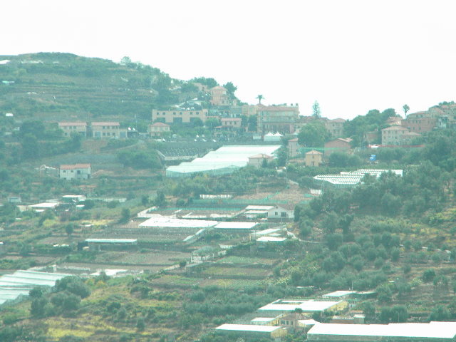 DSCN2472