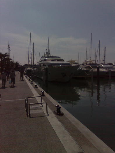 Imagine1248 - ApiMondia