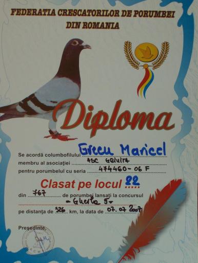 100_2885 - rezultate