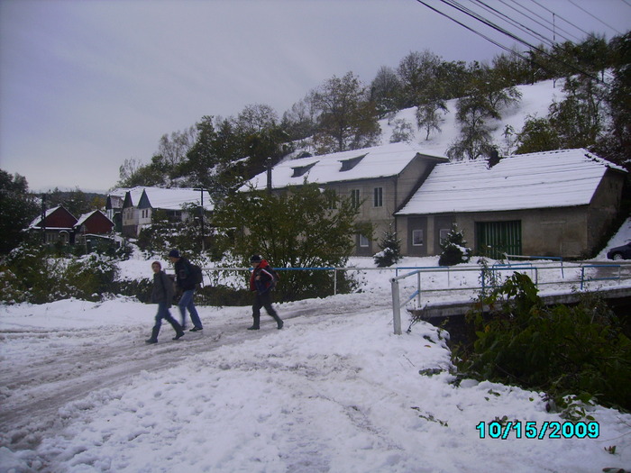 IMG_8966 - 2009 iarna timpurie