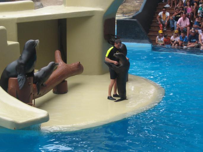 IMG_0749 - Tenerife 2006