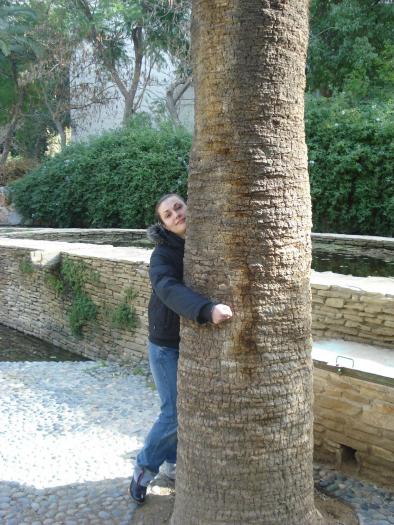 Picture 362; Nicosia de Sud
