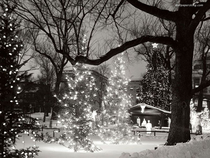 Christmas Wallpapers (279)