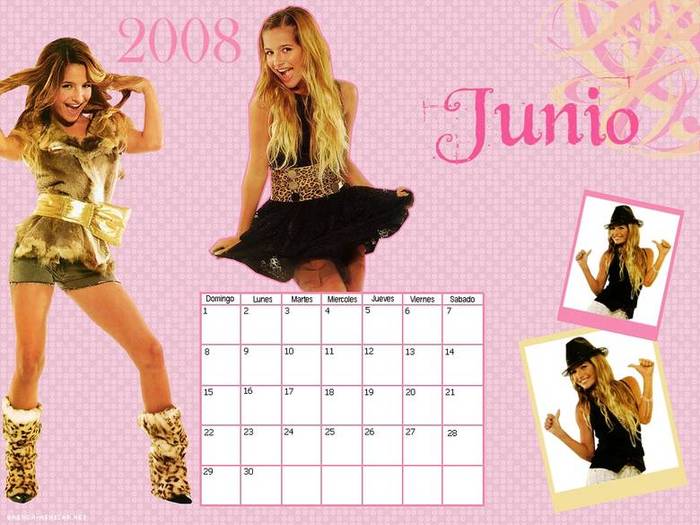 brenda-asnicar_dot_net-calendars2008-junio-0001 brenda-asnicar_dot_net-calendars2008-junio-0001